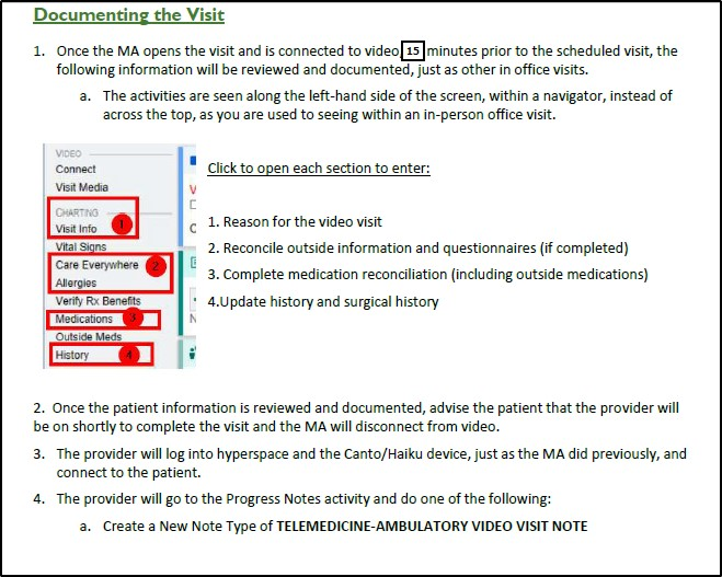 Figure 5 Telehealth Visit Screenshot 2